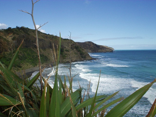 Muriwai Beach