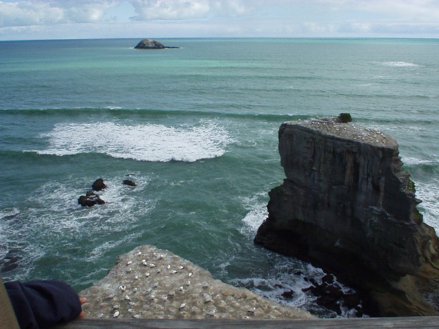 the ocean and the gannet colony