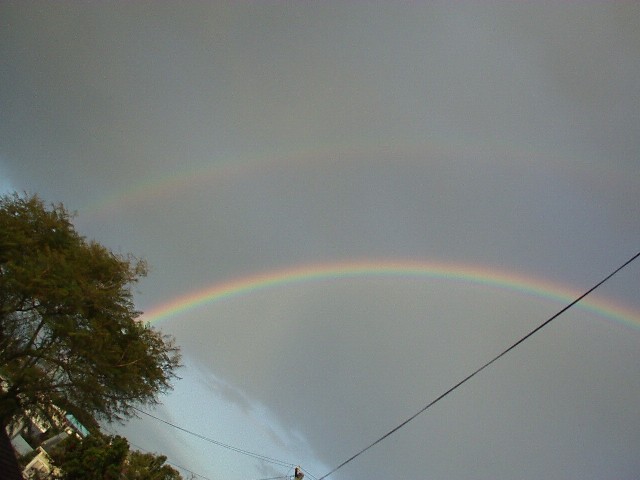 rainbows