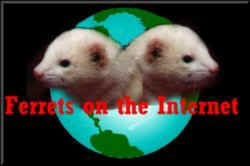 /ok/dragonhybrid/images/fernet2.jpg (8515 bytes)