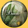 Aromatherapy Home Page