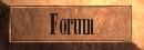 Na�e forum