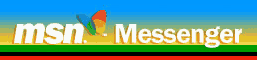 MSN Logo
