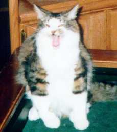 Frank's attempt at ferociousness