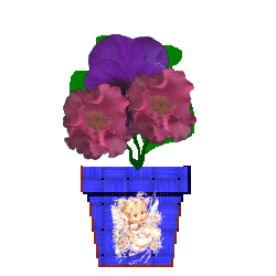 The Site Fights Spirit Flowers