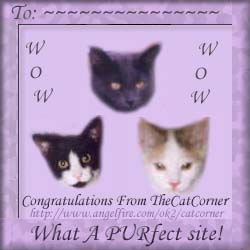 TheCatCornerAward