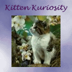 Join the Kitten
Kuriosity Webring!