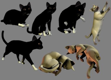 catposes.jpg (15757 bytes)