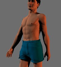 shorts.jpg (5878 bytes)