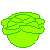 cabbage