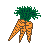 carrots