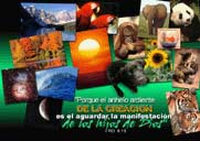 Porque el anhelo ardiente...