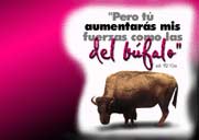 Pero t&uacute; aumentar&aacute;s mis fuerzas...