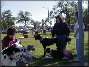 Cuda & Lucy taking a break from playing