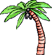 Palm Tree