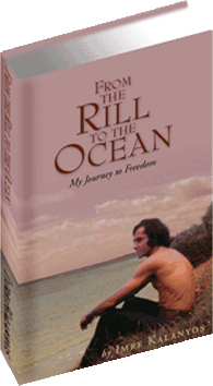 From the Rill to the Ocean