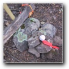 [Click to enlarge image]