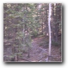 [Click to enlarge image]