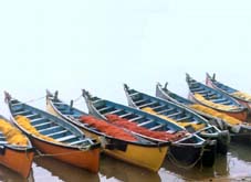 Fibreglass Canoes