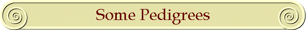 Some Pedigrees