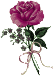 Purple Rose