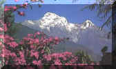 annapurna.JPG (13542 bytes)