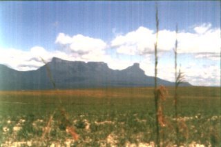 Die Grand Sabana mit den Tafelbergen in Venezuela - ohne Super-Head-Honcho