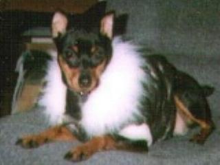 mid.JPG (10398 bytes)