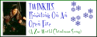 Twinkies Roasting