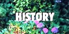 History