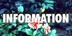 Information