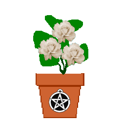 The Site Fights Spirit Flowers