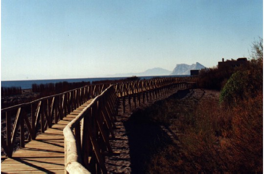Estuario del Guadiaro (1)