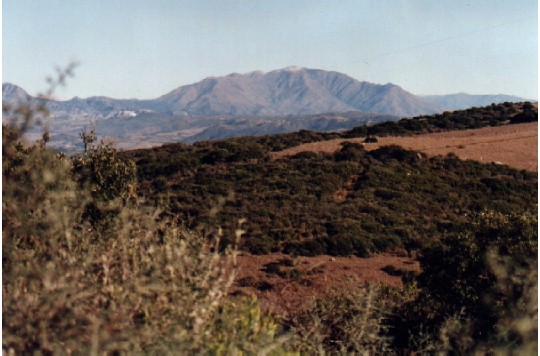 Sierra Almenara (General)