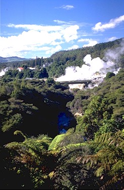 Landscape in Rotorua at Cultural village