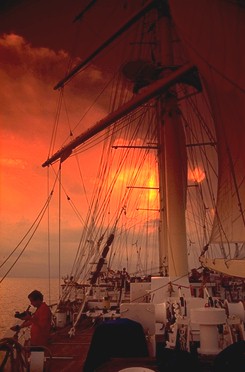 Sunset Clippership Star Flyer