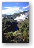 Rotorua