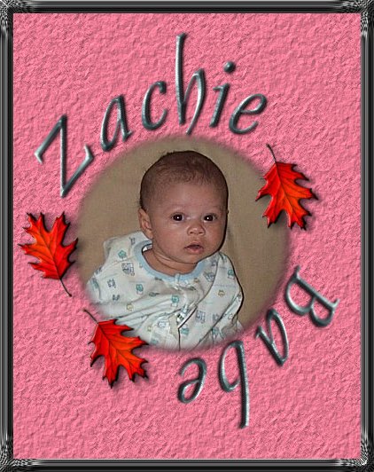 ZachieBabe001.jpg 73K