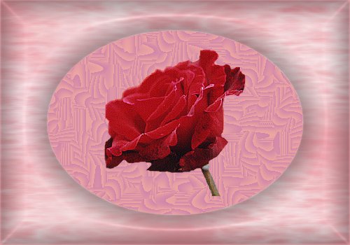 rose03.jpg