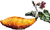 [pic: sweet potato]
