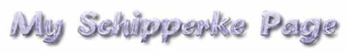 My Schipperke Page