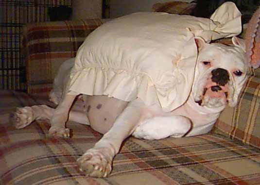 jeanrelaxing.JPG (24063 bytes)