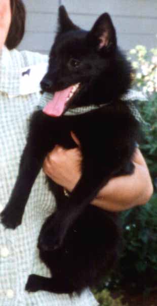 lani.JPG (16598 bytes)