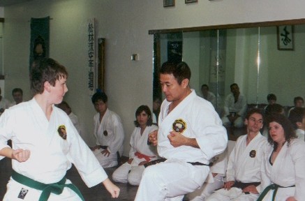 Nagamine Lecture 8.JPG (33898 bytes)