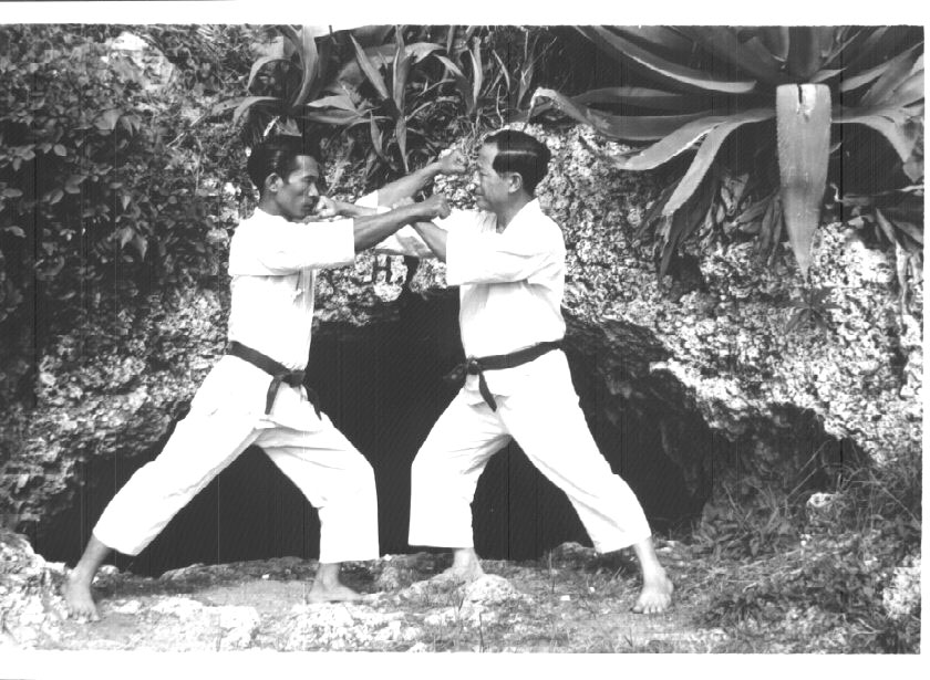 Grandmaster Nagamine Shoshin founder of Matsubayashi-Ryu, practicing 