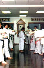 sem3.jpg (44267 bytes)