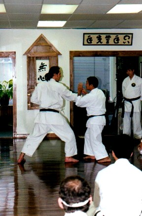 Nagamine lecture 10.JPG (40987 bytes)