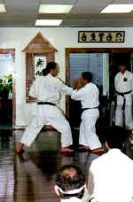 sem4.jpg (40987 bytes)