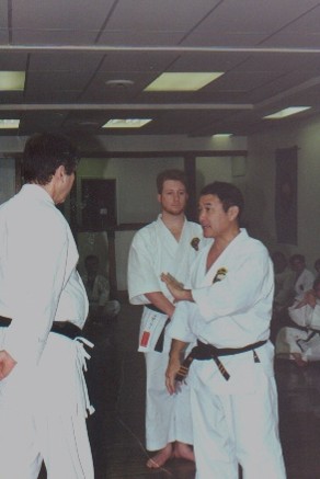 Nagamine lecture 2.JPG (26313 bytes)