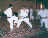 world.sem98-1.JPG (11515 bytes)